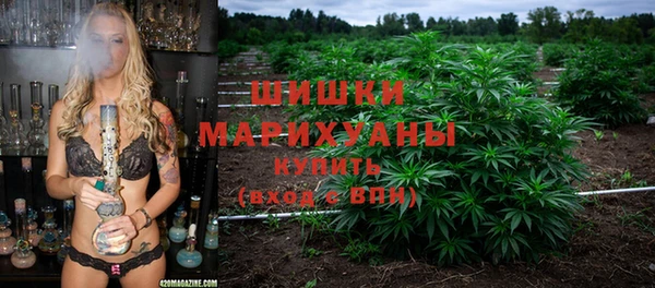 сатива Богородицк