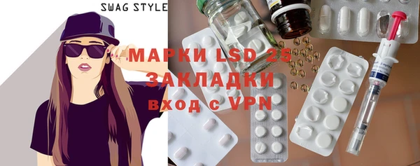 ECSTASY Бородино