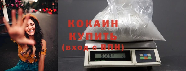 ECSTASY Бородино