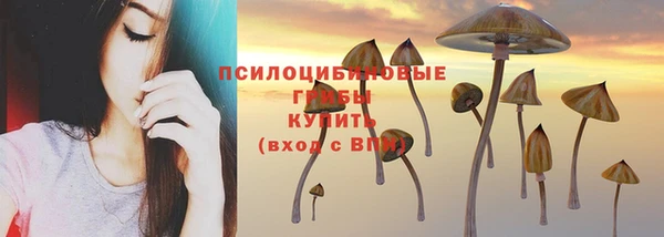 ECSTASY Бородино
