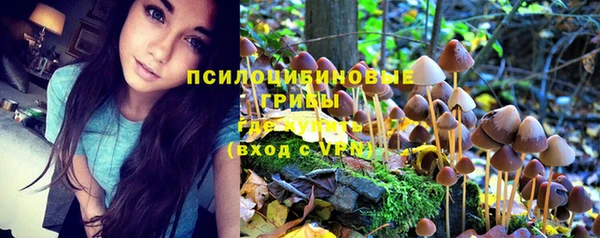 MESCALINE Богданович