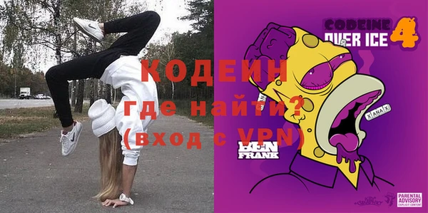 индика Бронницы