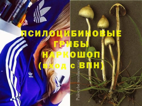 MESCALINE Богданович