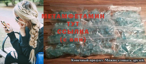 индика Бронницы