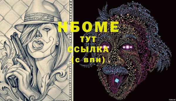индика Бронницы