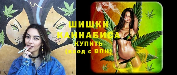 PSILOCYBIN Бугульма