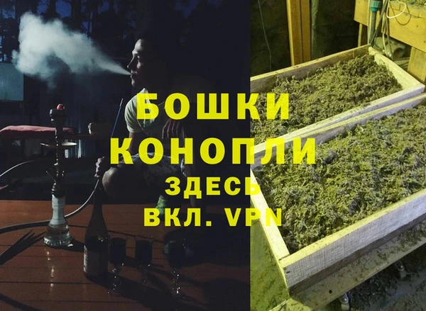 ECSTASY Бородино
