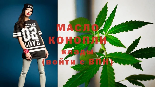 индика Бронницы